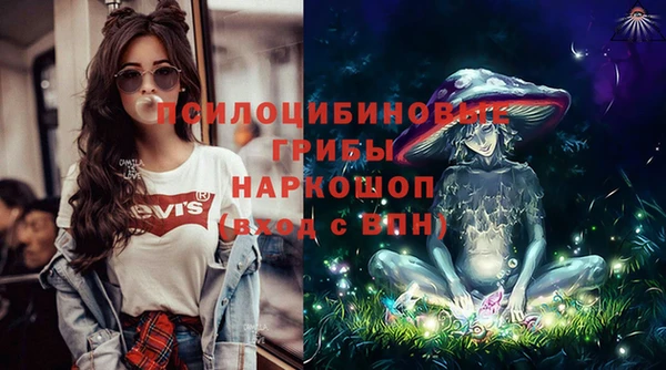 дживик Абинск
