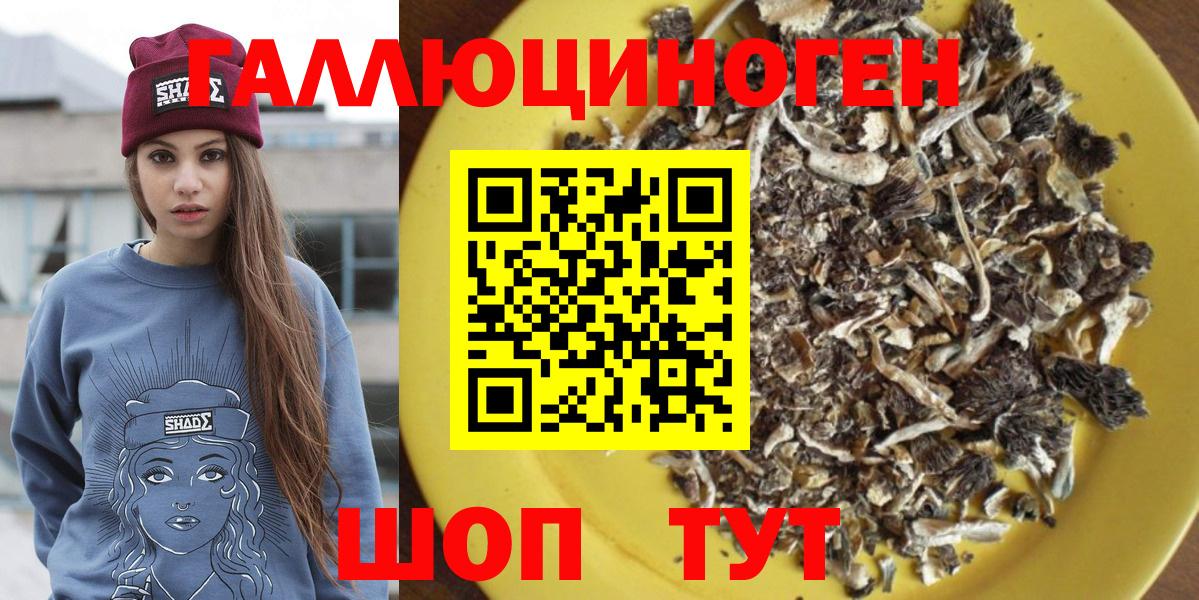 Псилоцибиновые грибы GOLDEN TEACHER Соликамск